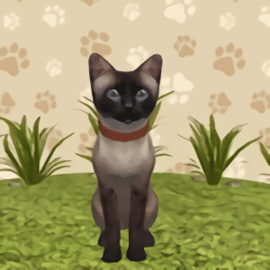 6163银河养成手游下载-6163银河养成游戏最新版下载 v1.0.2 安卓版